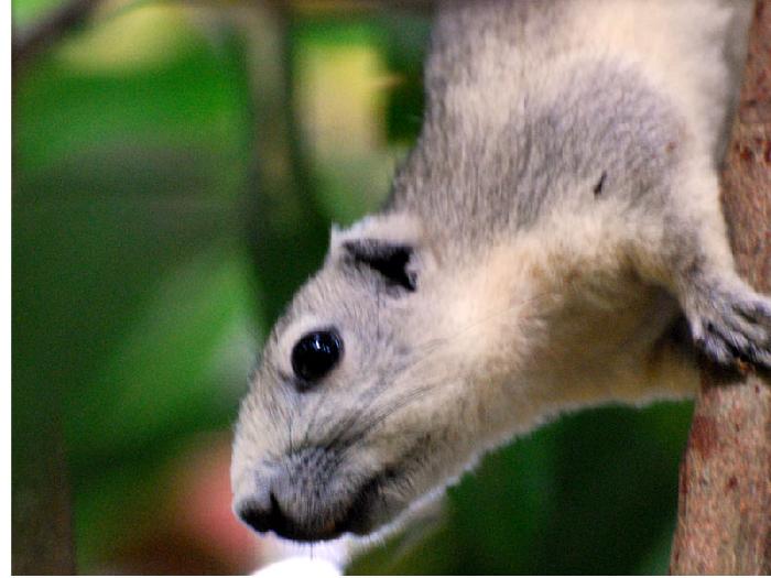 Photo by :: ����ǧ