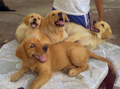 Photo by :: ���