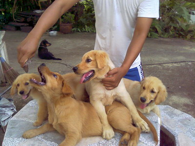 Photo by :: ���