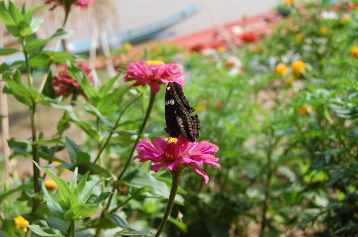 Photo by :: ����