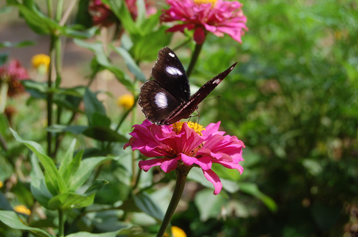 Photo by :: ����