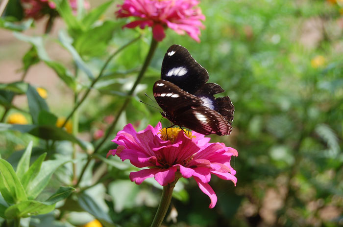 Photo by :: ����