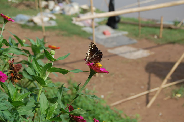 Photo by :: ����