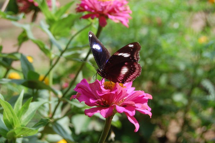 Photo by :: ����