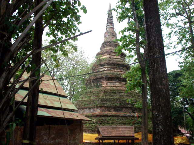 Photo by :: ����ǧ