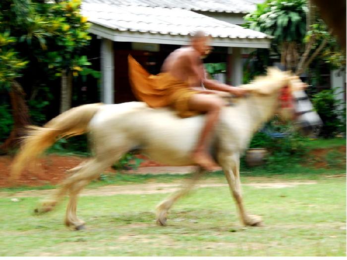 Photo by :: ����ǧ