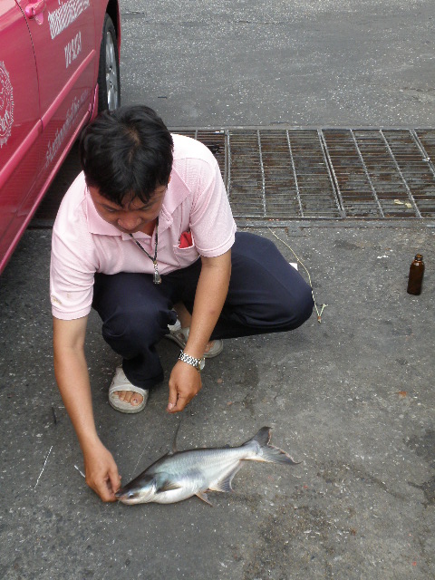 Photo by :: �� �ҧ���맾���쵡��