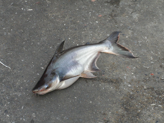 Photo by :: �� �������