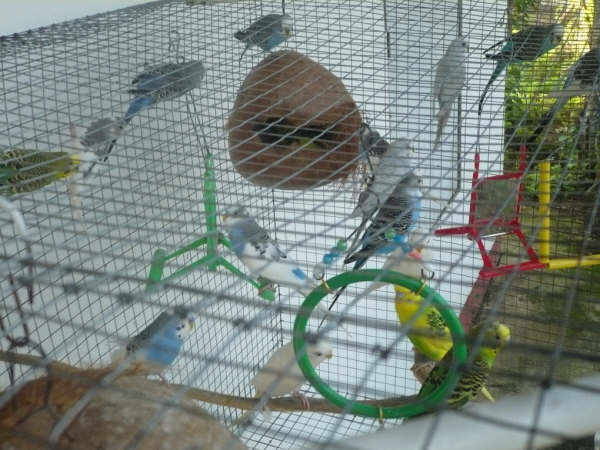 Photo by :: �����