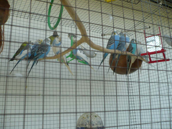 Photo by :: �����