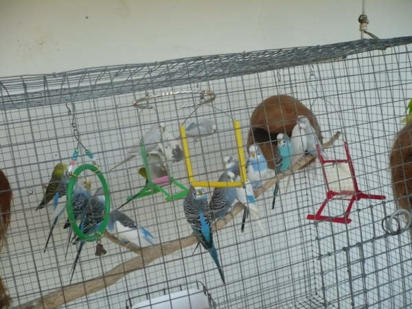 Photo by :: ��¹�