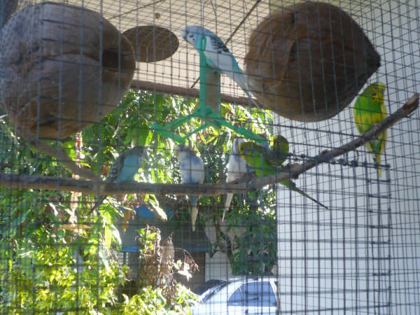 Photo by :: ��¹�