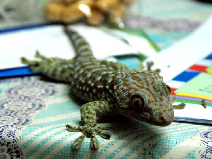 Photo by :: ����ǧ