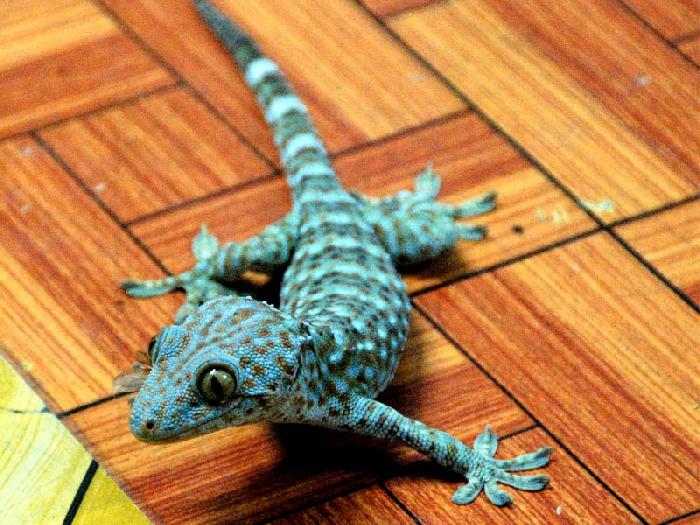 Photo by :: ����ǧ