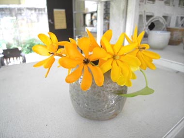 Photo by :: �� ������