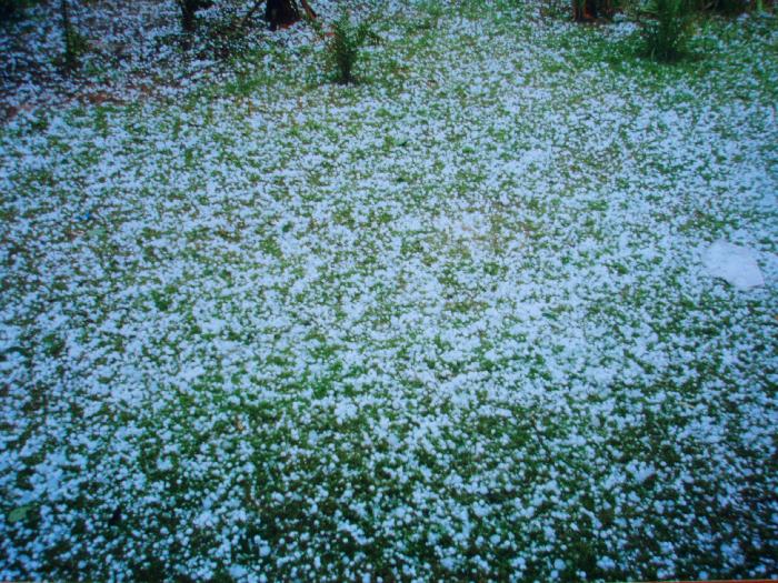 Photo by :: ฅ.เมือง