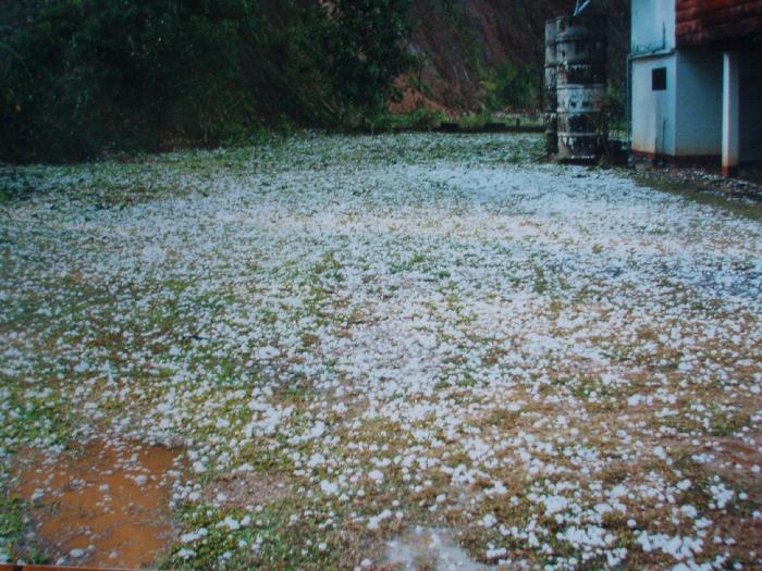 Photo by :: ฅ.เมือง