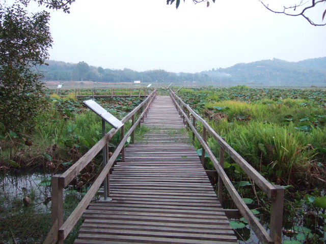 Photo by :: �.���ͧ