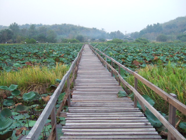 Photo by :: �.���ͧ