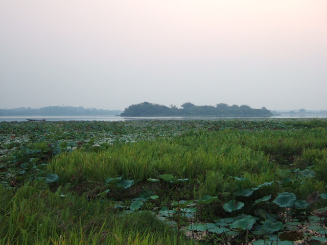 Photo by :: �.���ͧ