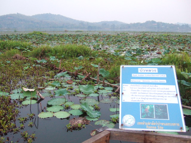 Photo by :: �.���ͧ