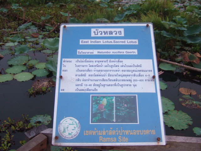 Photo by :: �.���ͧ