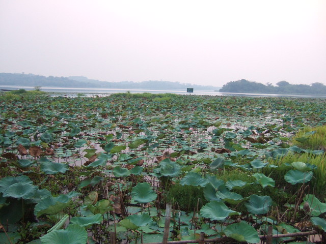 Photo by :: �.���ͧ