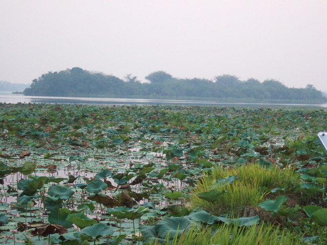 Photo by :: �.���ͧ