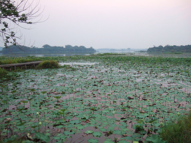 Photo by :: �.���ͧ