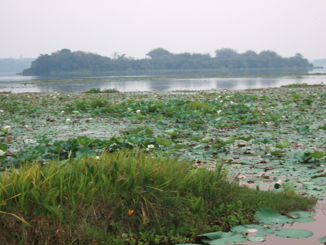 Photo by :: �.���ͧ