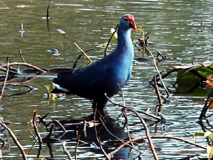 Photo by :: ����ǧ