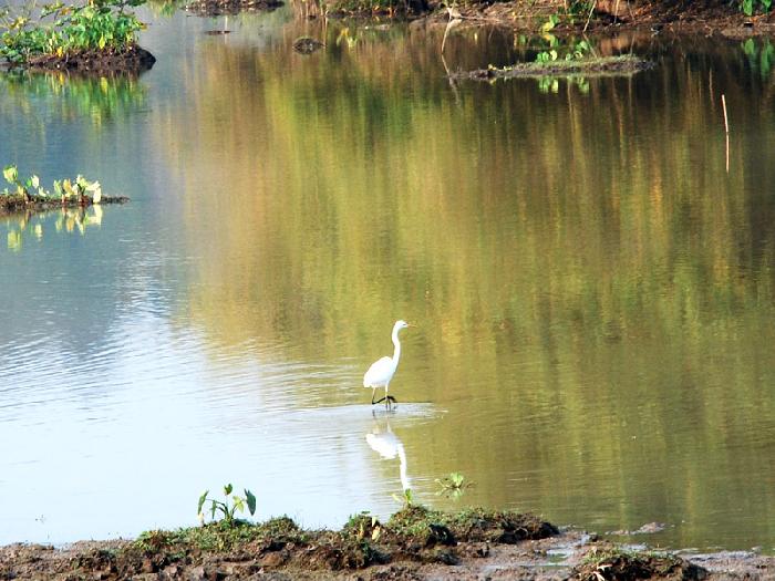 Photo by :: ����ǧ