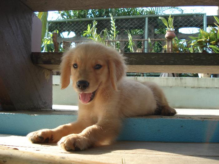 Photo by :: ����