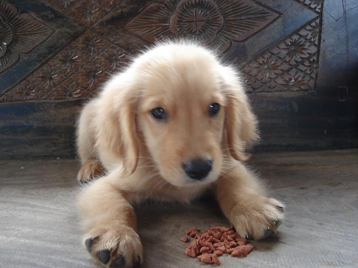 Photo by :: ����