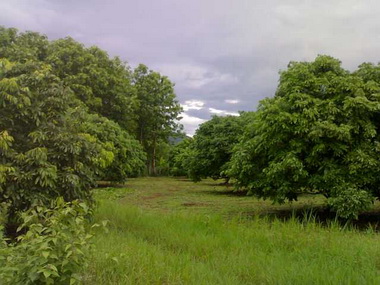 Photo by :: �Ե���