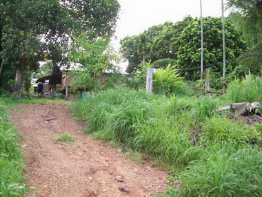 Photo by :: ���