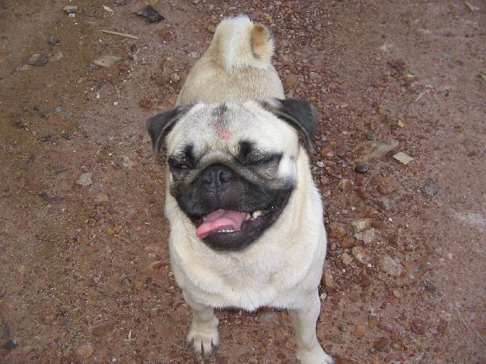 Photo by :: ���