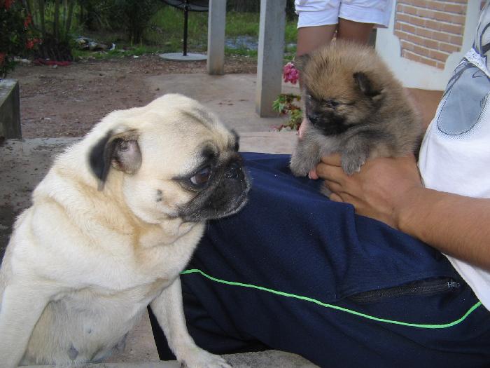 Photo by :: ���