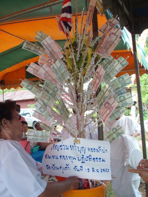 Photo by :: �.���ͧ