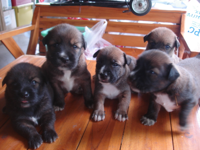 Photo by :: �����