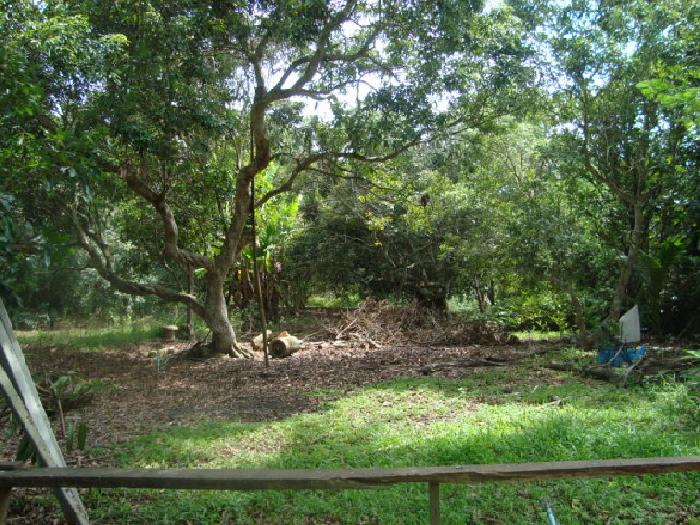 Photo by :: �Էѡ��