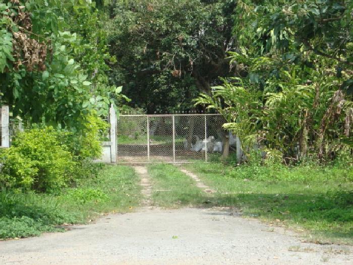 Photo by :: �Էѡ��