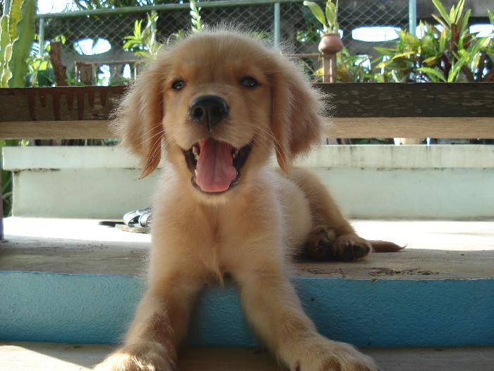 Photo by :: ����