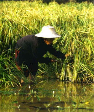 Photo by :: �������ѡ