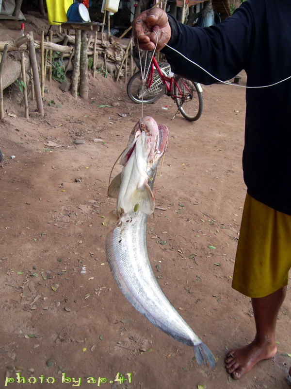 Photo by :: �����⢧