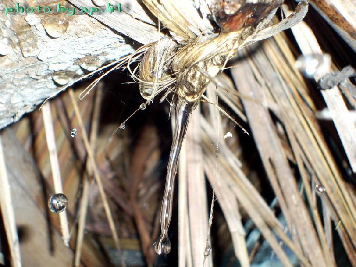 Photo by :: �����⢧