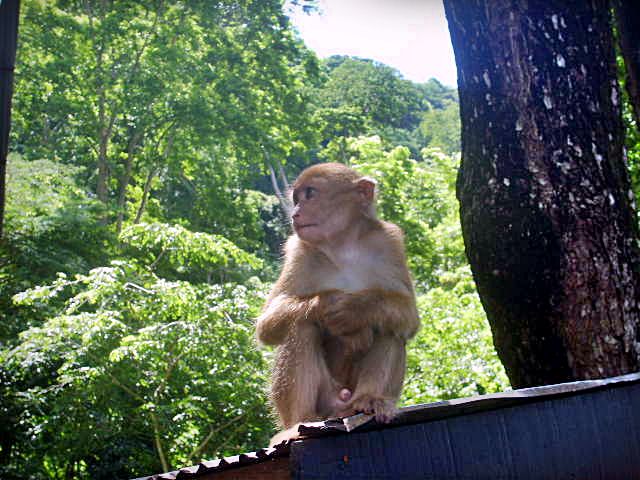 Photo by :: ����ǧ