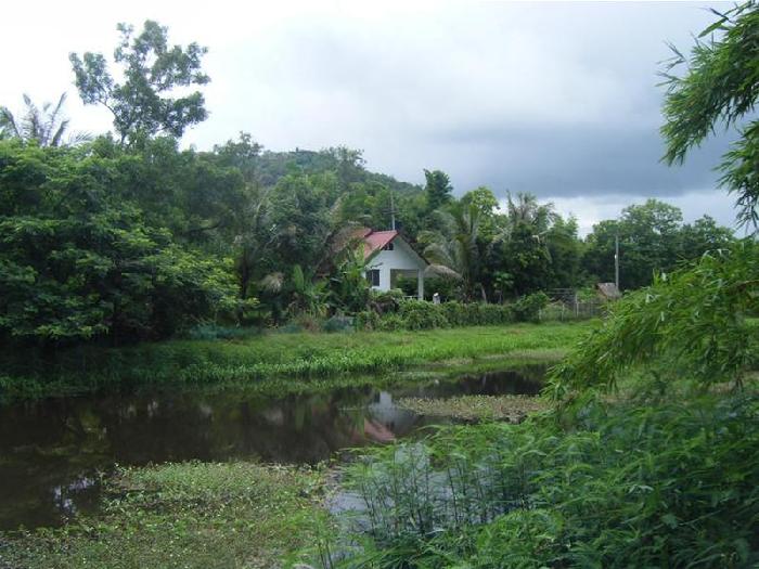 Photo by :: ��º�ҹ