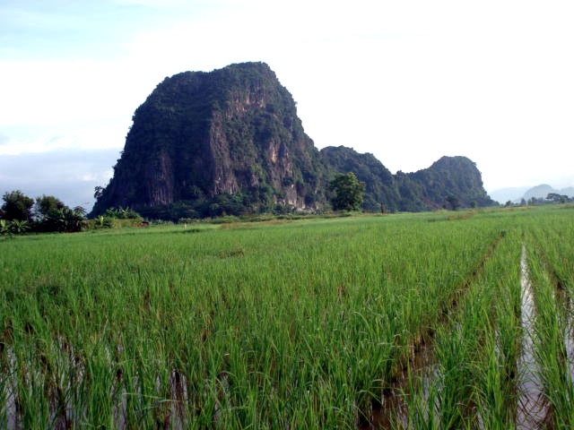 Photo by :: ����ǧ