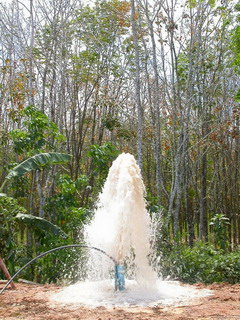 Photo by :: ���Թ�Թ